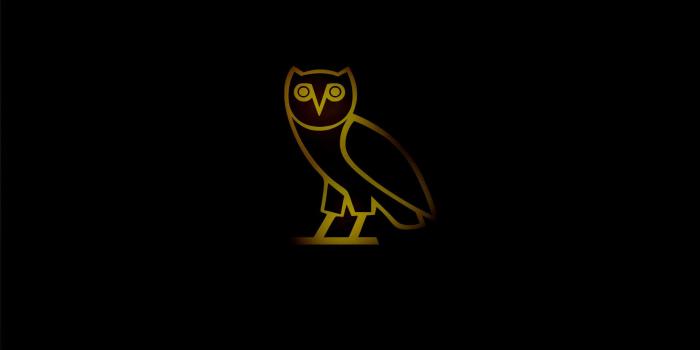 1920x1220 Drake Owl Ovo iPhone Wallpaper (78+ images)