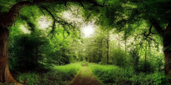 1920x1200 Celtic Pagan Wallpaper (59+ images)