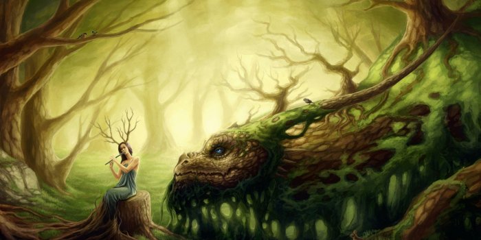 2400x1350 Forest Creatures ❤ 4K HD Desktop Wallpaper for • Dual Monitor Desktops