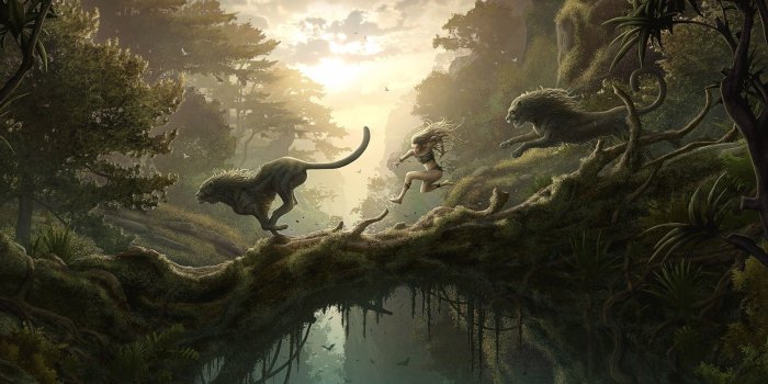 1920x1080 Fantasy Forest Wallpapers and Background Images - stmed.net