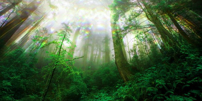 2000x1250 Celtic Pagan Wallpaper (105+ images in Collection) Page 3