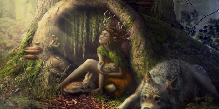 2560x1440 Magic Forest Wallpapers, 2018-05-24