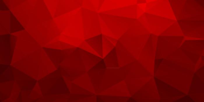 950x993 Abstract Red Triangles Geometry Vector Wallpaper | Spot Wallpapers