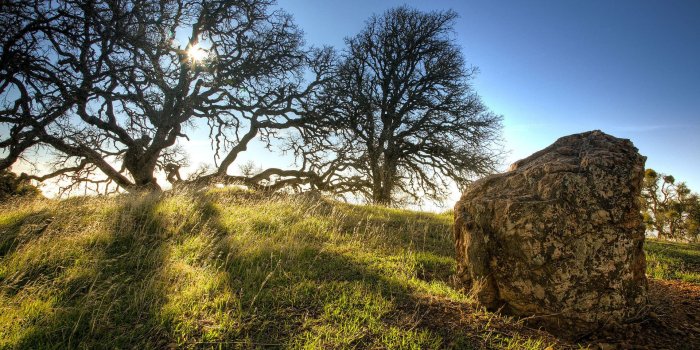 1920x1200 Celtic Wallpapers (69+ background pictures)