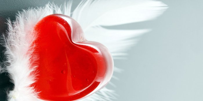 1920x1080 Feather And Red Heart Wallpaper