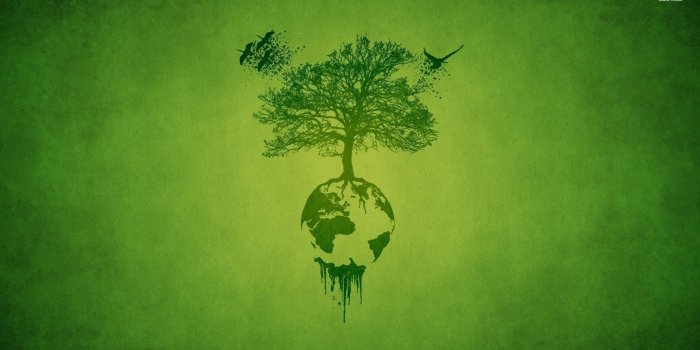 1920x1080 Tree of life wallpaper - Fantasy wallpapers - #6939