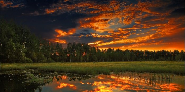 2560x1600 2560x1600 Forest Grass Sunset Reflection desktop PC and Mac wallpaper