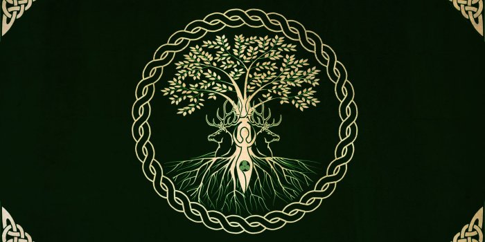 1920x1080 Celtic Wallpaper For Computer 371.44 Kb | MarkInternational.info