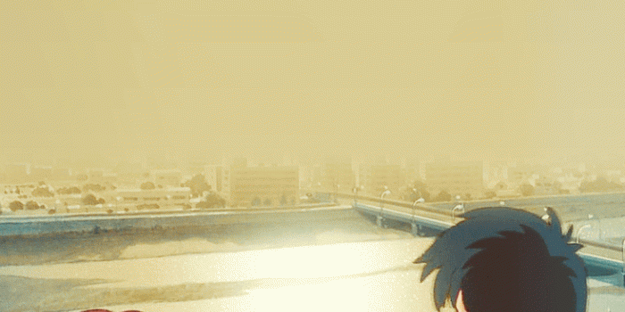 732x1340 Whisper of the Heart Phone Backgrounds - Studio Ghibli Photo