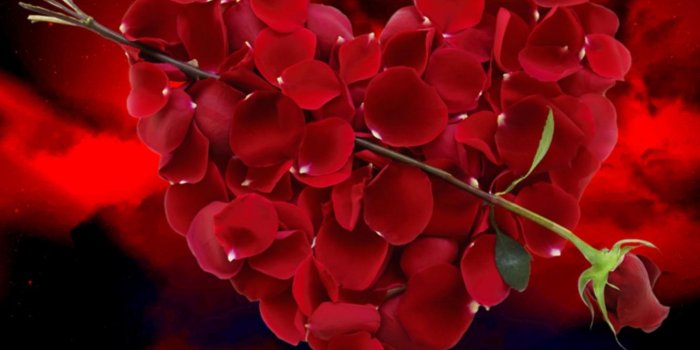 1333x1000 72+] Red Heart Wallpapers on WallpaperSafari