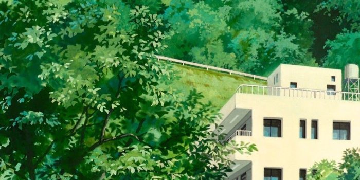 928x1600 Whisper Of The Heart Wallpapers - DodoWallpaper.