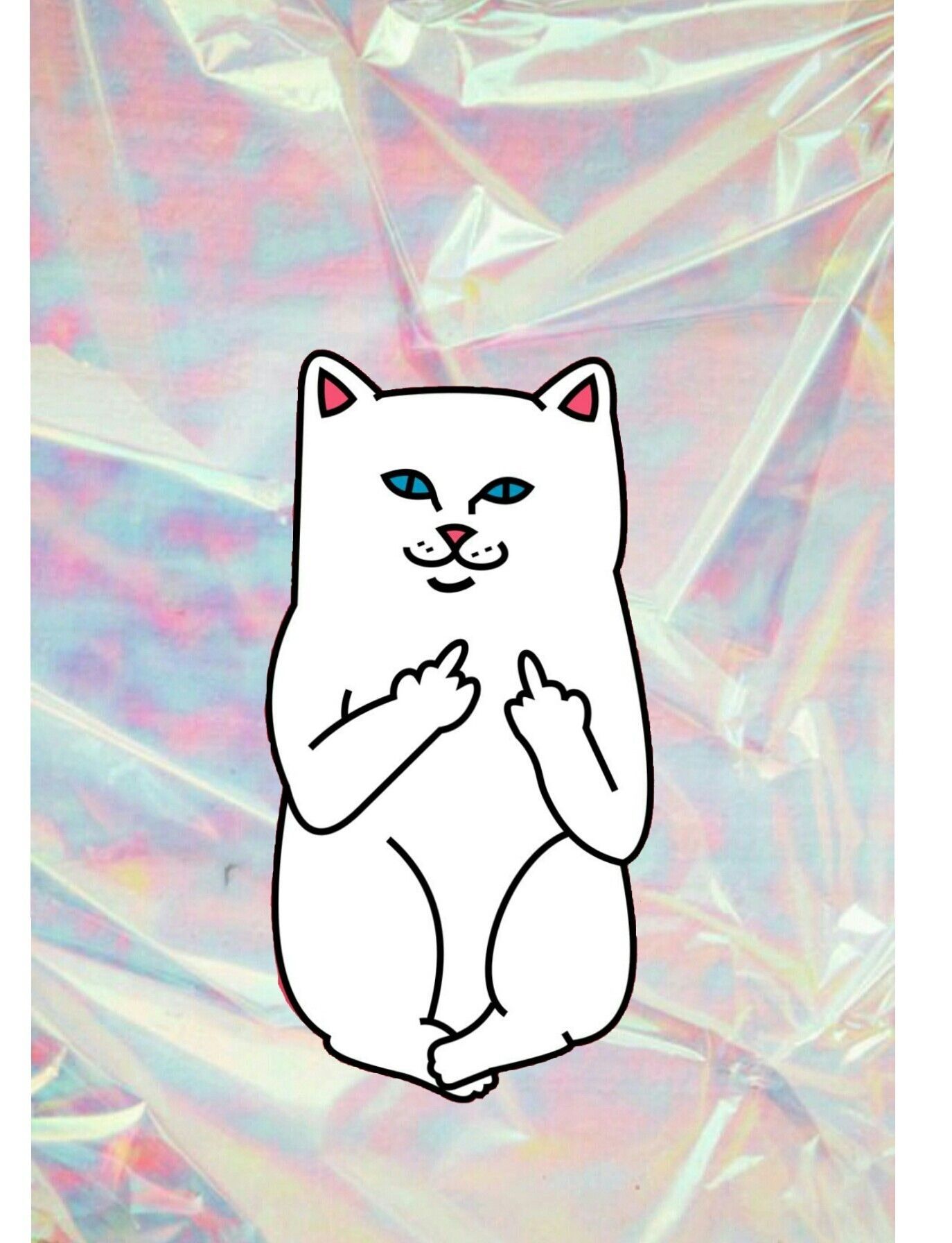 1374x1792 Beautiful Ripndip Cat Wallpaper Desktop - Cat Middle Fingers, Hd