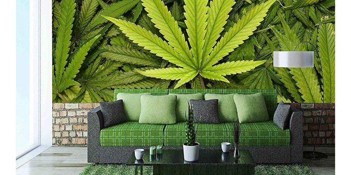 1500x1125 wall26 - Big Marijuana Leaf Close Up with Texture Background of Cannabis  Leaves - Removable Wall Mural | Self-Adhesive Large Wallpaper - 100x144