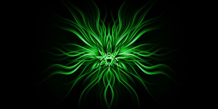 1280x800 Best Weed Wallpapers on WallpaperGet.com