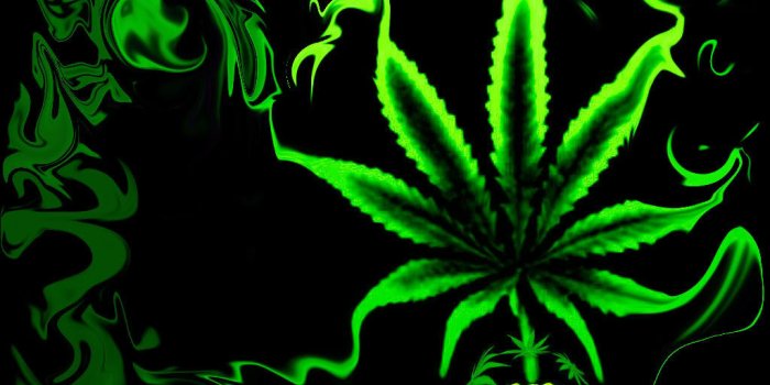 1024x768 Weed Girl Wallpaper ✓ The Galleries of HD Wallpaper