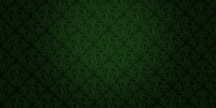 1920x1200 Similiar Marijuana Wallpaper HD Girly Keywords