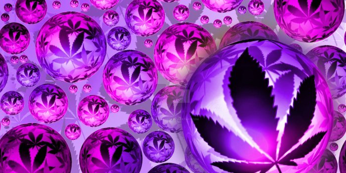 1600x1000 100+ Girly Weed Leaf – yasminroohi