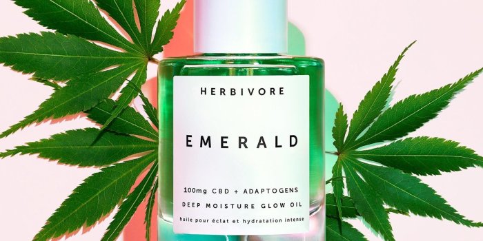 1600x2000 I Replaced My Entire Beauty Routine With Only CBD Products | Glamour