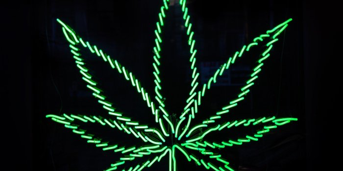 2400x1800 Kk Weed. Departments | Bowman County ND Chamber of Commerce and