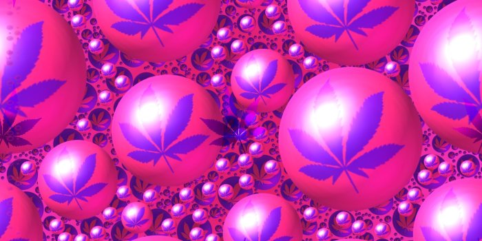 1680x1050 Download Pink Weed Wallpaper Gallery