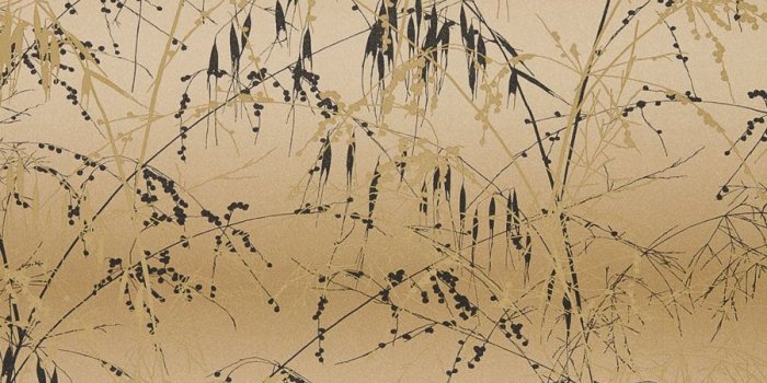 900x1000 Meadow Grass