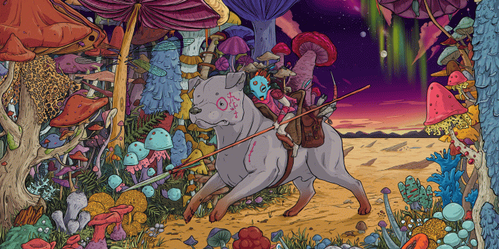 3620x2380 Download wallpaper 3620x2380 dog, rider, mushrooms, warrior