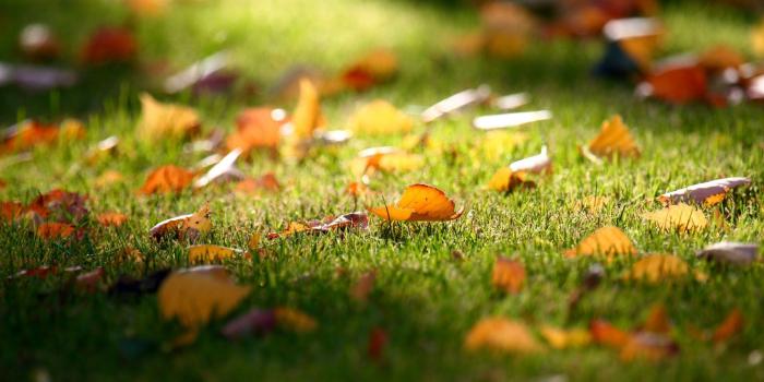 2560x1600 Awesome Free HD Wide Image For Facebook - HD Wallpapers