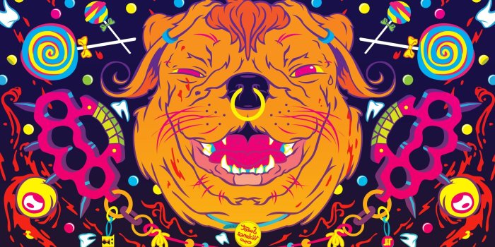 2560x1440 2933934 colorful dog humor wallpaper and background | Animal