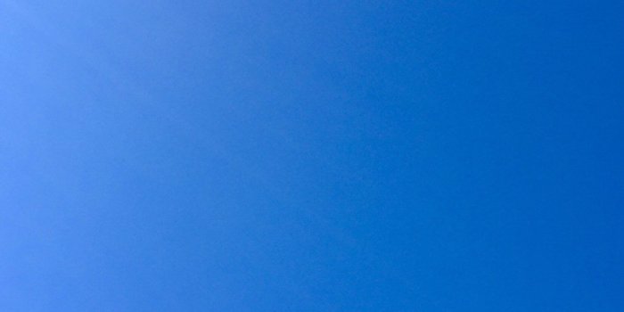 1328x2048 Ryleigh Gaige on Backgrounds | Dog wallpaper, Cute dog