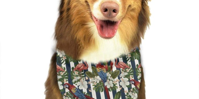 1200x1200 Amazon.com : fengyijiating Rocking Horses Colorful Wallpaper Pattern