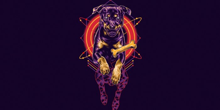 1920x1200 Wallpaper of Artistic, Colors, Dog background & HD image