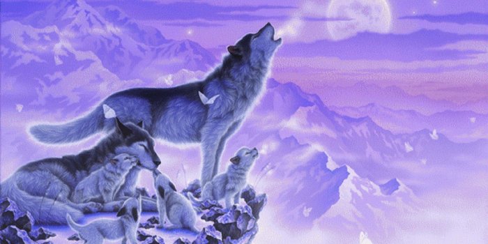 1920x1080 Wallpaper Dogs: Year Valentines Cool Sound Art Love Purple Animals