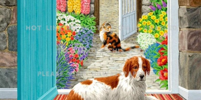 1200x879 lazy summer day spring dog colorful cat