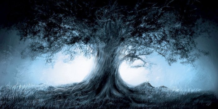 1920x1080 Magical art | Fantasy Magic Tree Art HD, Widescreen Wallpaper