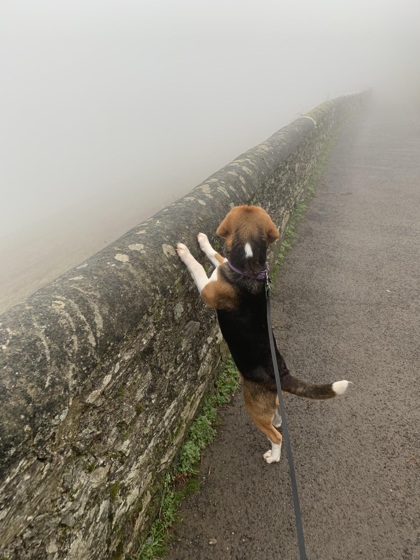 3024x4032 FromFrankie (u/FromFrankie) - Reddit