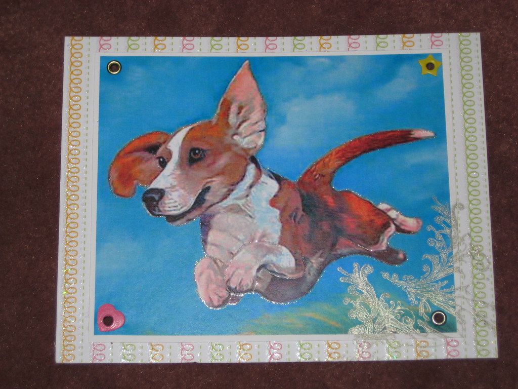 1024x768 The World's most recently posted photos of harrypotter and swapbot