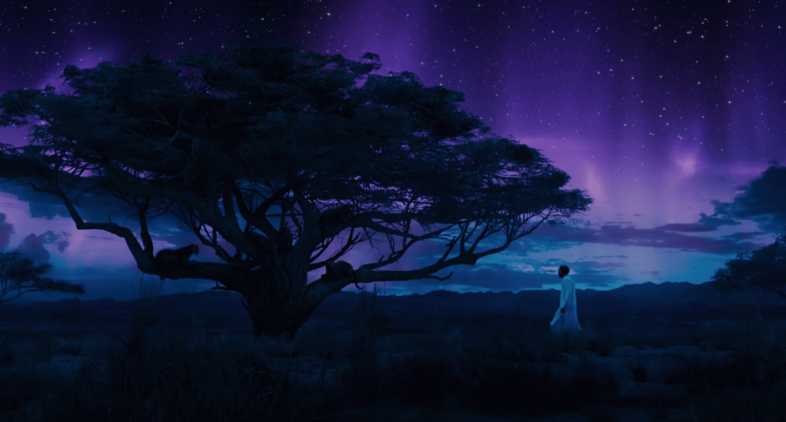 2593x1395 Anyone have a high def image of the Ancestral Plane shown here from