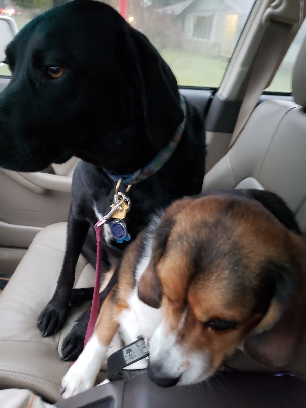 1200x1600 sense of doubt: Hey, Mom! Talking to My Mother #1148 - Throwback