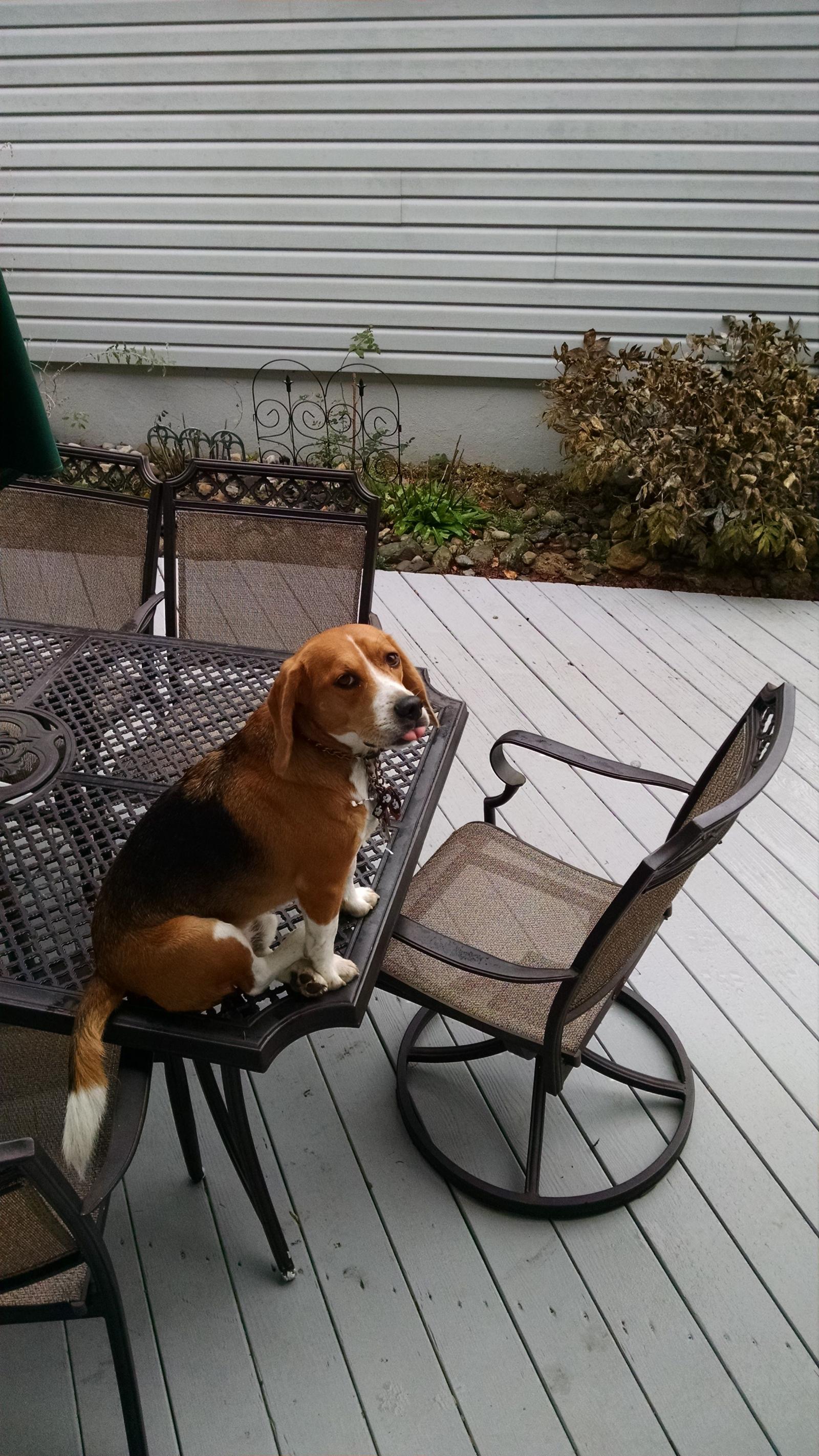 2432x4320 http://imgur.com/gallery/IH0gn weekly http://imgur.com/kRW8sOn.jpg