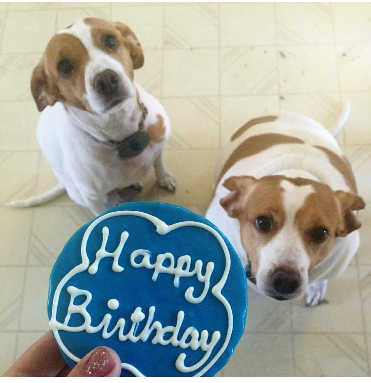 1230x1271 K-9yne (u/K-9yne) - Reddit