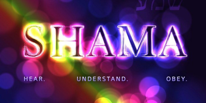 1024x768 Shama Wallpaper | Find your resolution here: dubyadesigns365…