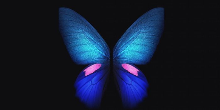 1080x2160 Samsung Galaxy Fold, Blue butterfly, minimal, art, 1080x2160
