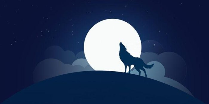 736x1308 S7 Edge Wallpapers