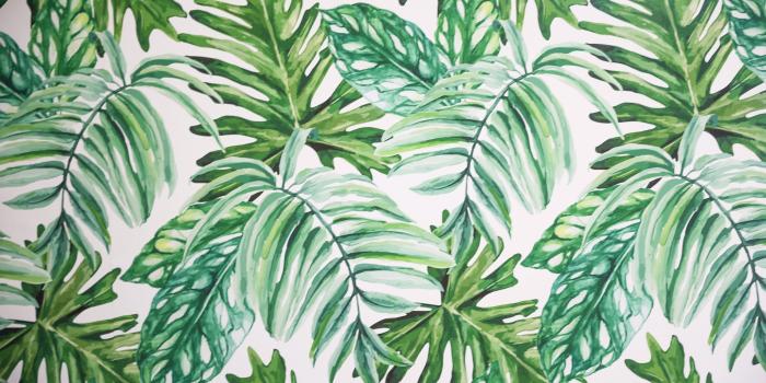 3360x2240 Palm Leaf Temporary Wallpaper | + VIDEO | Daily Dose of Charm