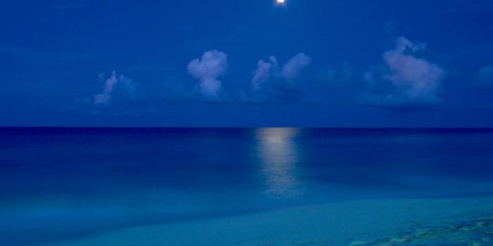 1600x1200 Nature: By The Light Of The Moon Cancun Mexico, picture nr. 19716