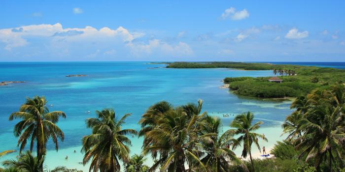 2560x1440 Picture Mexico Cancun Sea Nature palm trees Coast 2560x1440