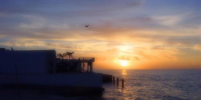 1920x1080 Sky: Sunrise Cancun Mexico House Sea Bird Coastal Playa Del Carmen