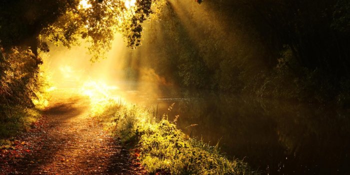 1990x1440 morning sunlight | Morning Sun Wallpaper – Download FREE Widescreen