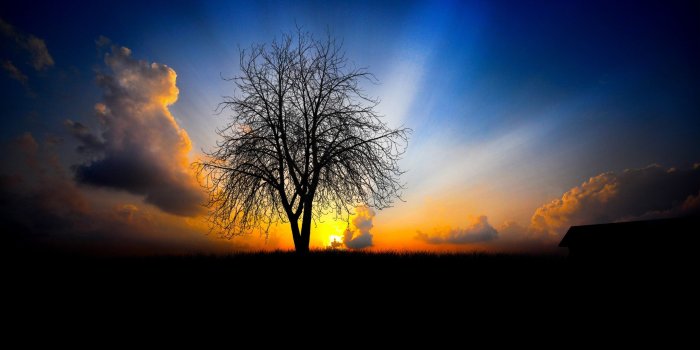 2560x1600 Morning Sun Wallpapers, Pictures, Images