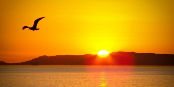 1600x900 Sunrise Wallpapers